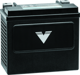 Twin Power YTX-14 Shocker Battery Replaces H-D 65948-00 220 CCA