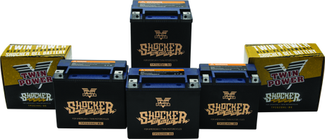 Twin Power YTX-14L Shocker Gel Battery Replaces H-D 65958-04 220 CCA